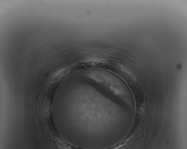 X0000098001014200804011827