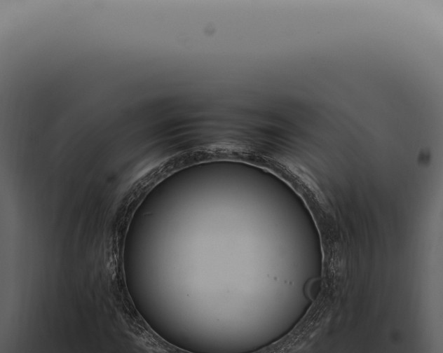 X0000098001015200804011827