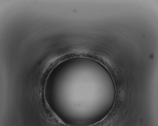 X0000098001016200804011827