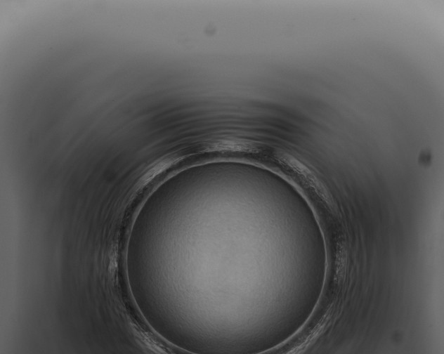 X0000098001017200804011827
