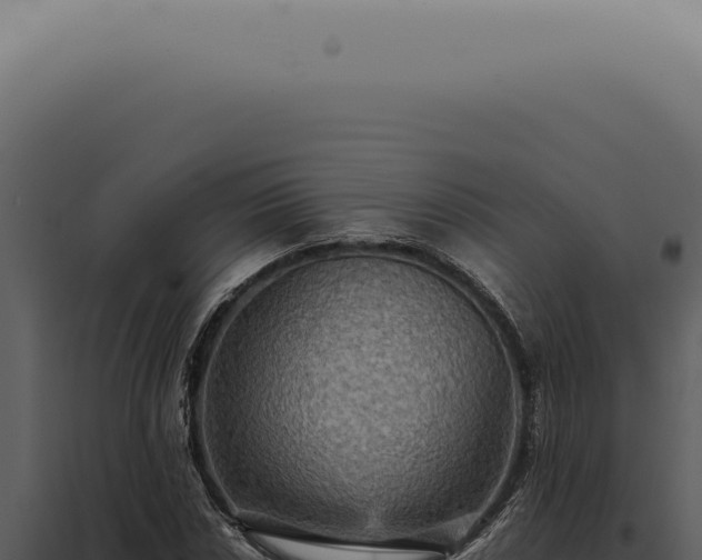 X0000098001018200804011828