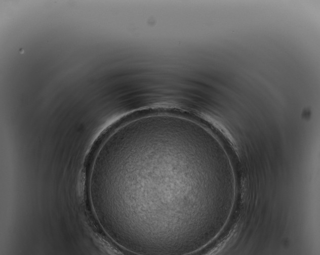 X0000098001021200804011828