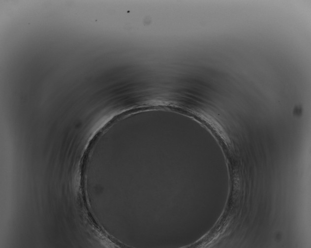X0000098001023200804011828
