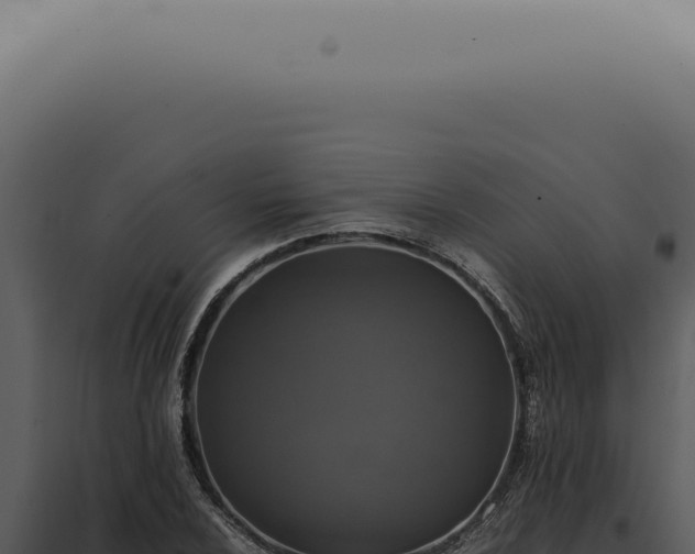 X0000098001024200804011828