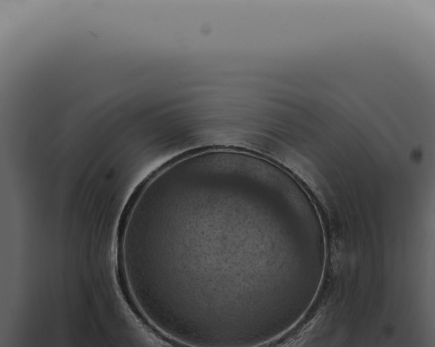 X0000098001028200804011828