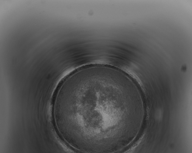 X0000098001029200804011828