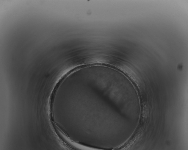 X0000098001031200804011828