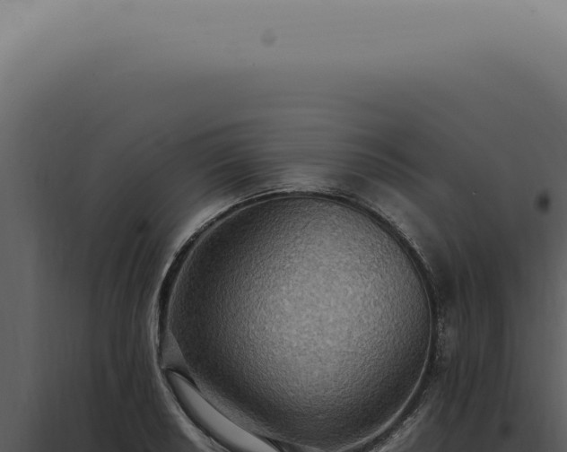 X0000098001034200804011828