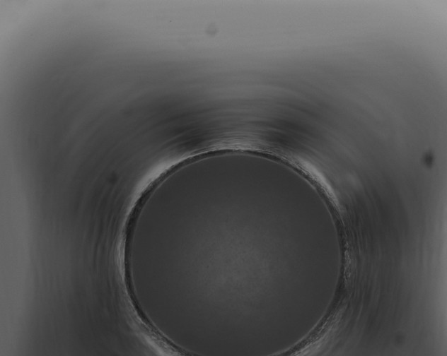 X0000098001035200804011828