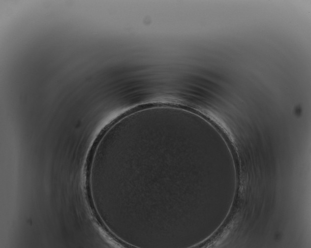 X0000098001037200804011828