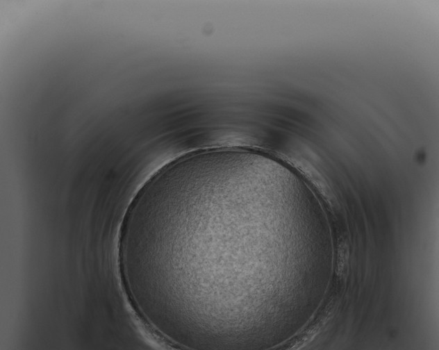 X0000098001039200804011828