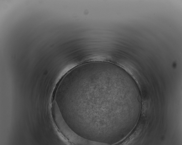 X0000098001042200804011828