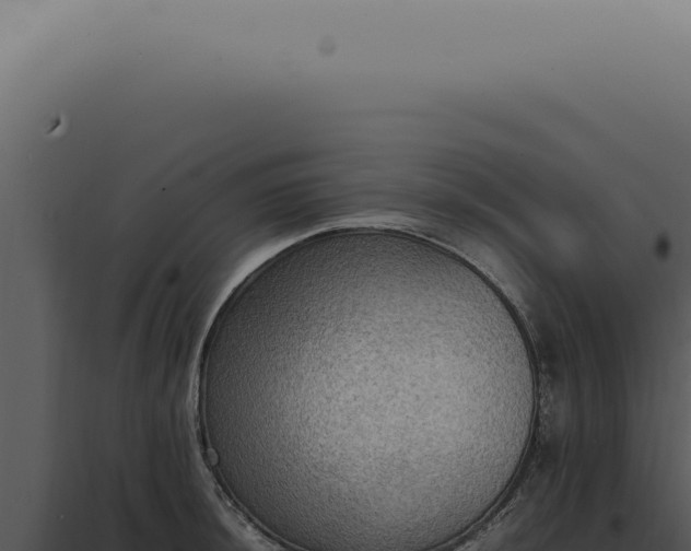X0000098001044200804011828