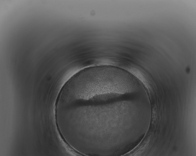 X0000098001047200804011828