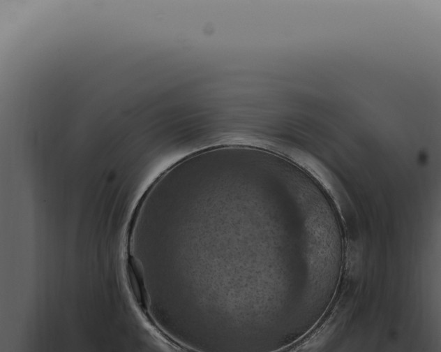 X0000098001048200804011828