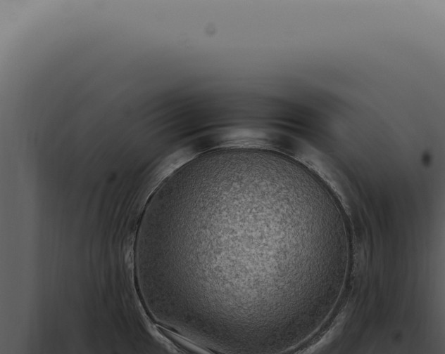X0000098001049200804011828