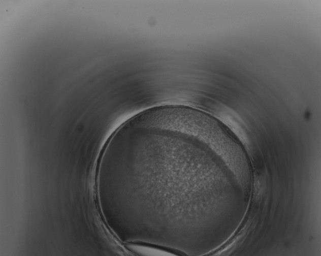 X0000098001052200804011828