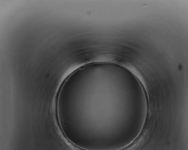X0000098001053200804011828