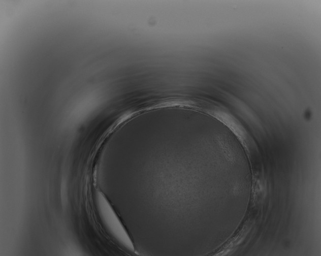 X0000098001055200804011828