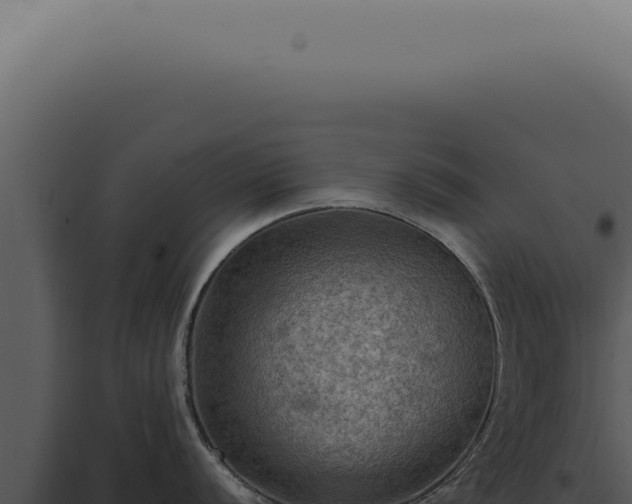 X0000098001056200804011828