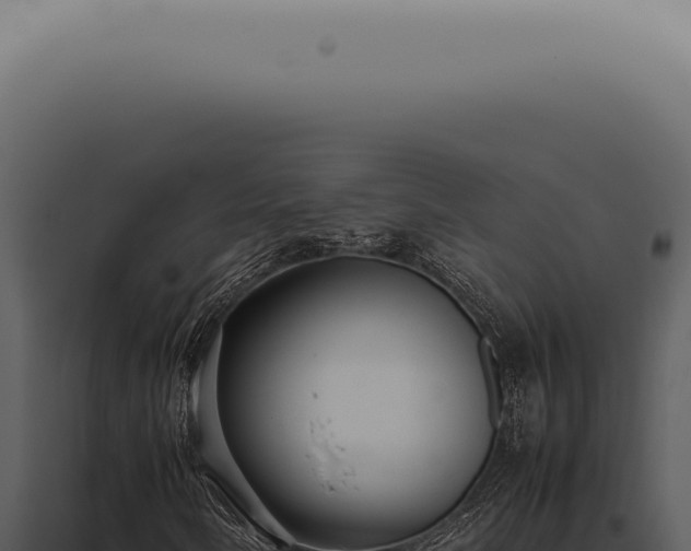 X0000098001058200804011827
