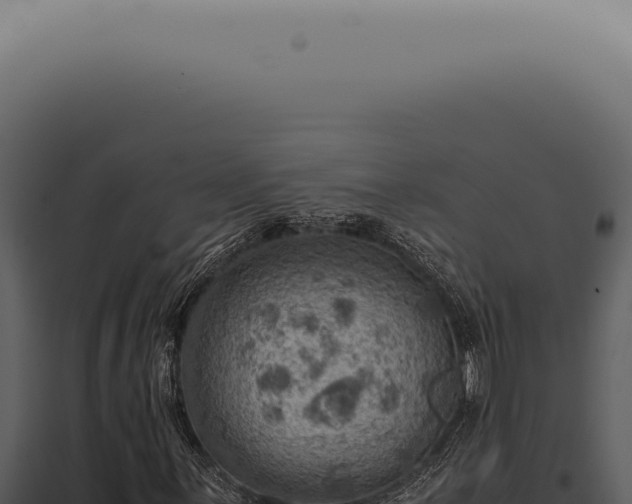 X0000098001059200804011827