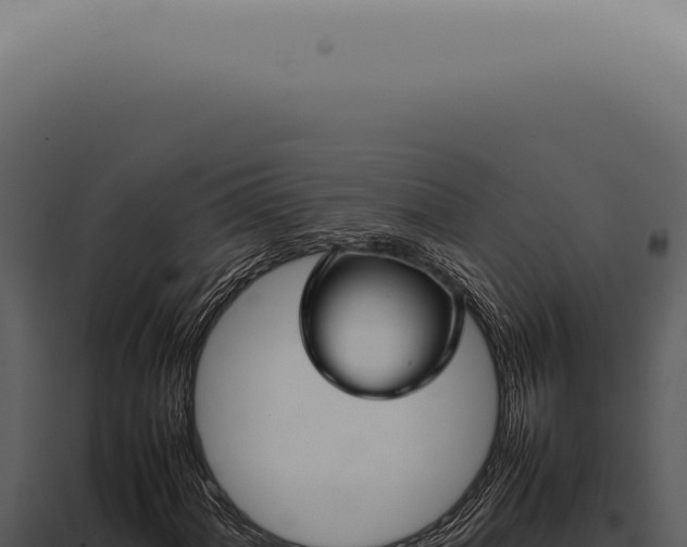 X0000098001060200804011827