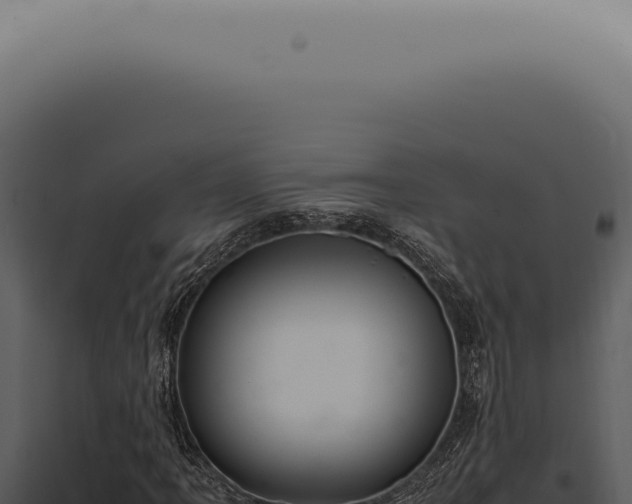X0000098001061200804011827