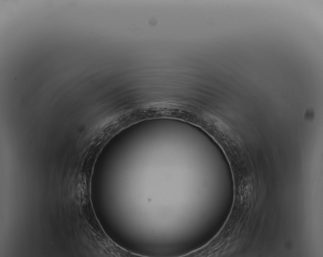 X0000098001062200804011827