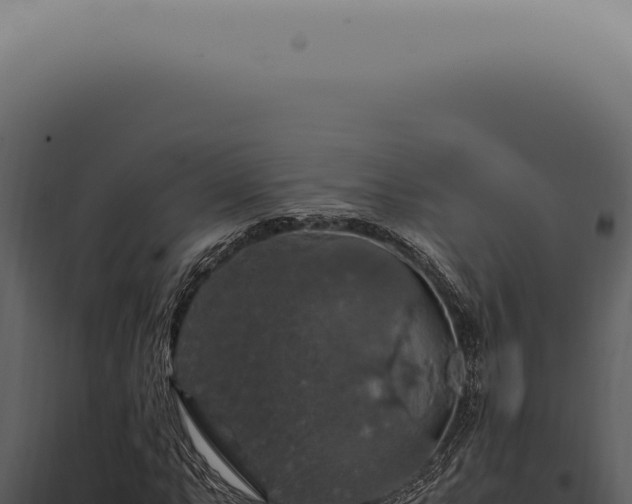 X0000098001063200804011827