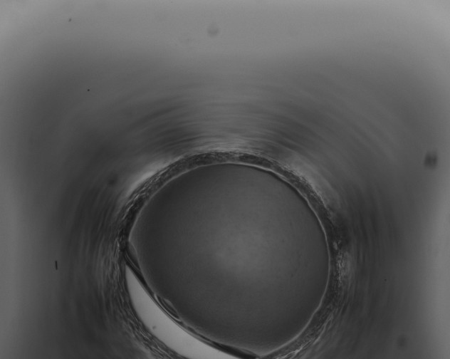X0000098001064200804011827