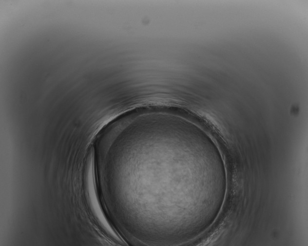 X0000098001065200804011827
