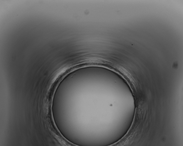 X0000098001067200804011827