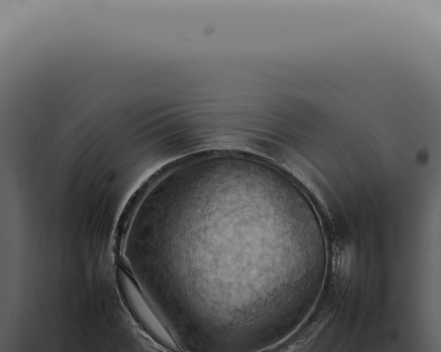 X0000098001068200804011827