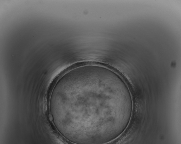 X0000098001069200804011827