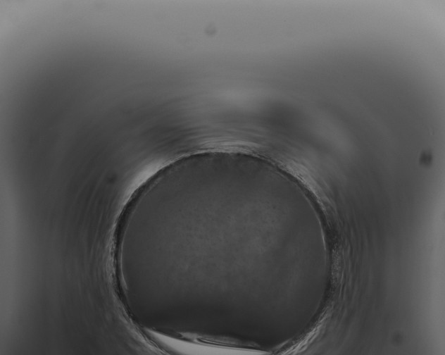 X0000098001071200804011827