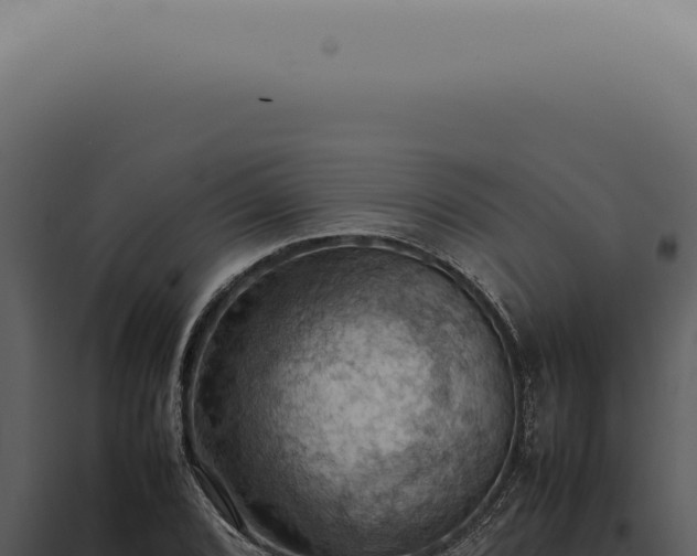 X0000098001072200804011827