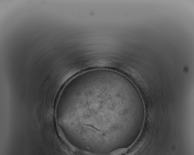 X0000098001073200804011827