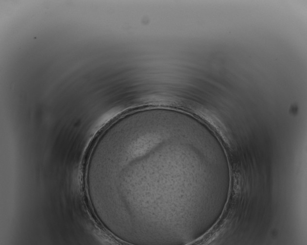 X0000098001074200804011827