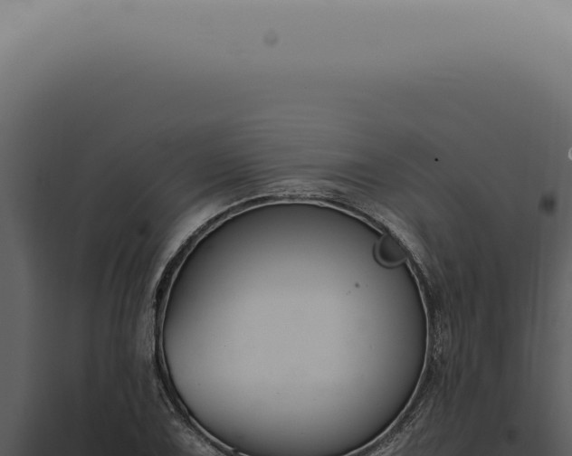 X0000098001075200804011827