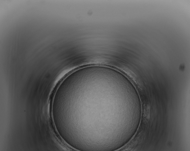 X0000098001078200804011827