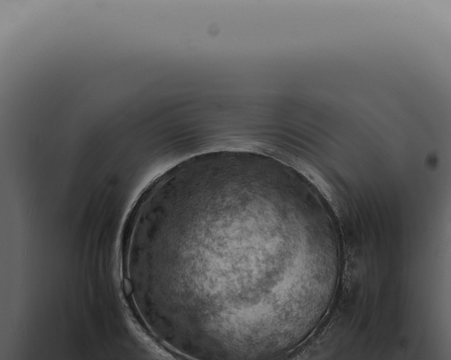 X0000098001080200804011827