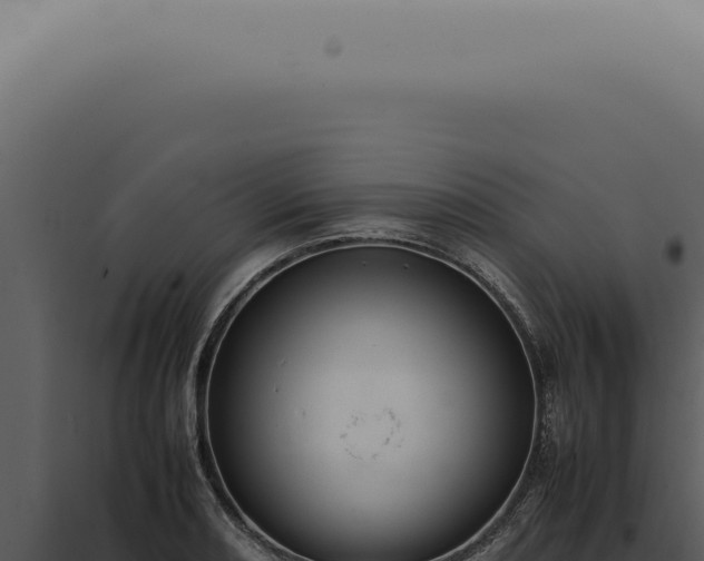 X0000098001082200804011827