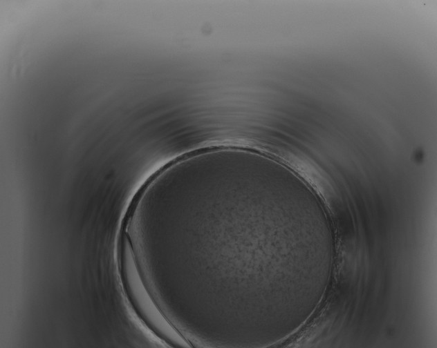 X0000098001084200804011827