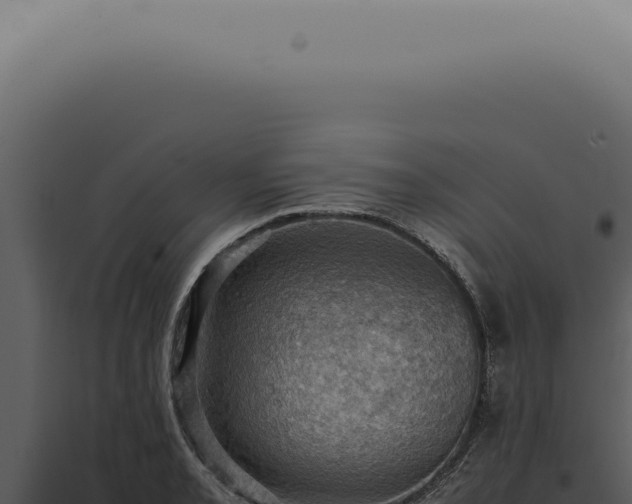 X0000098001085200804011827