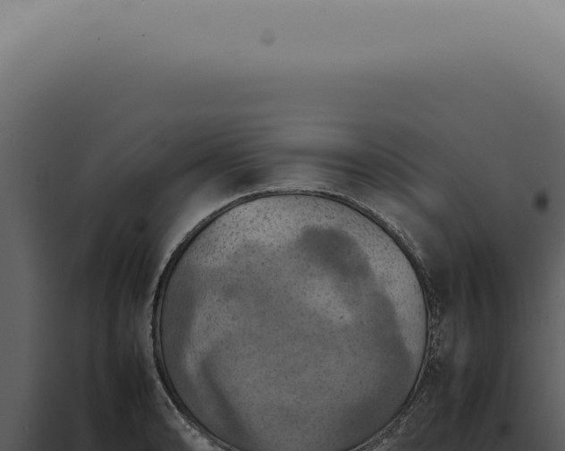 X0000098001086200804011827