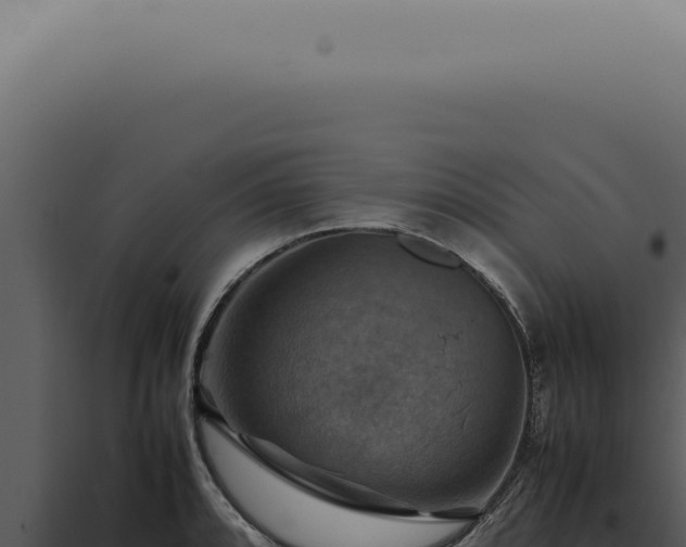 X0000098001088200804011827