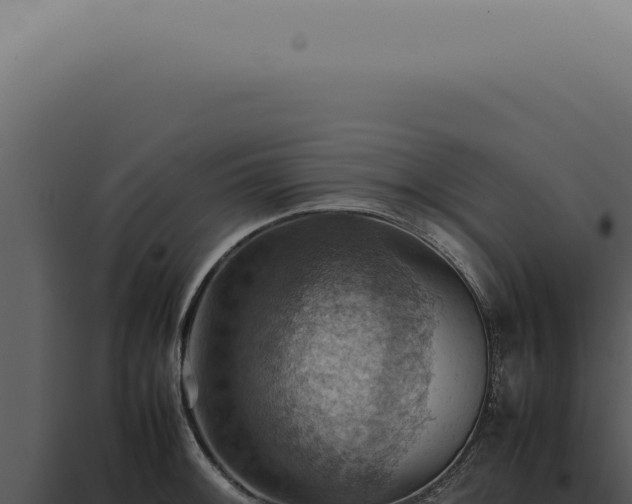 X0000098001092200804011827