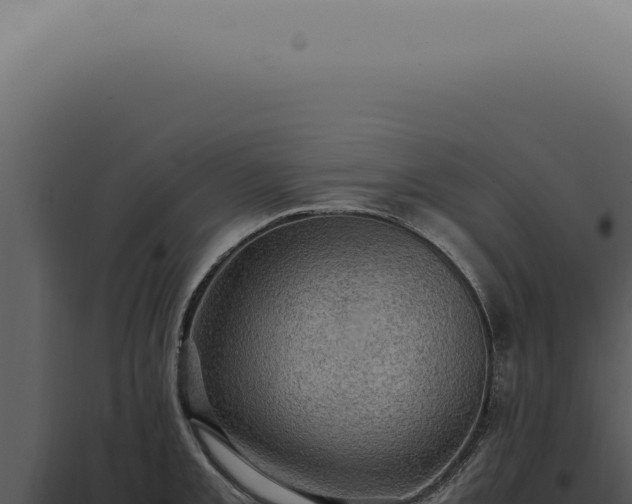 X0000098001093200804011827