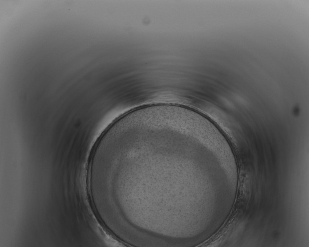 X0000098001094200804011827